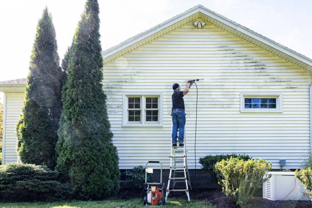 Professional Pressure Washing Services in Salmon Creek, WA